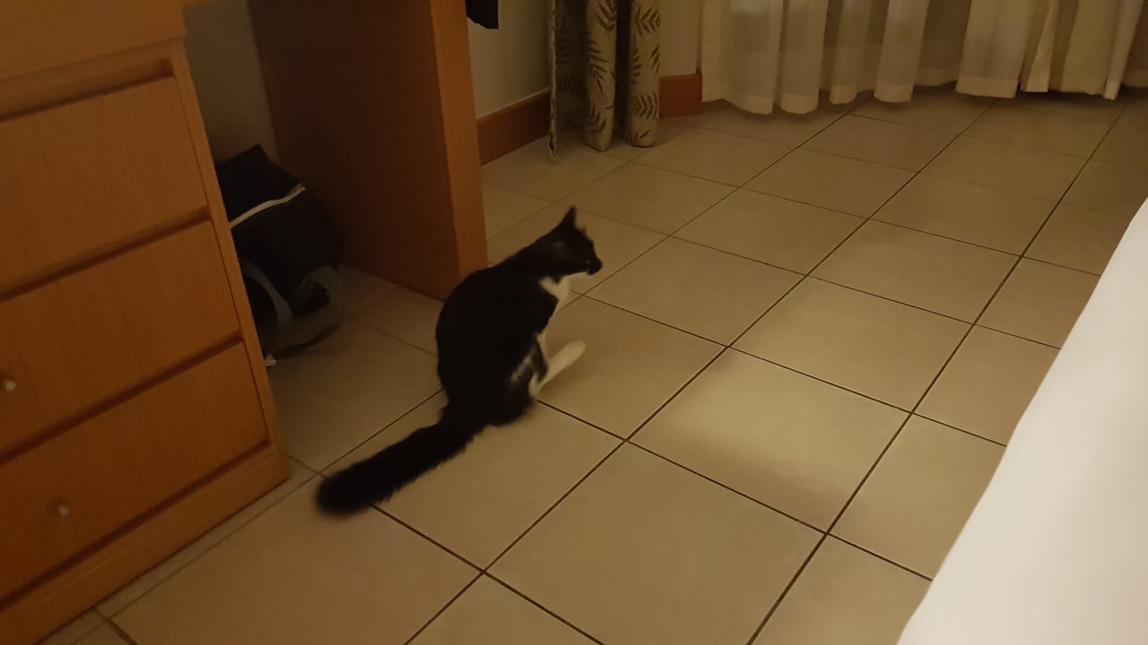 Sonstiges Labranda Alantur Resort