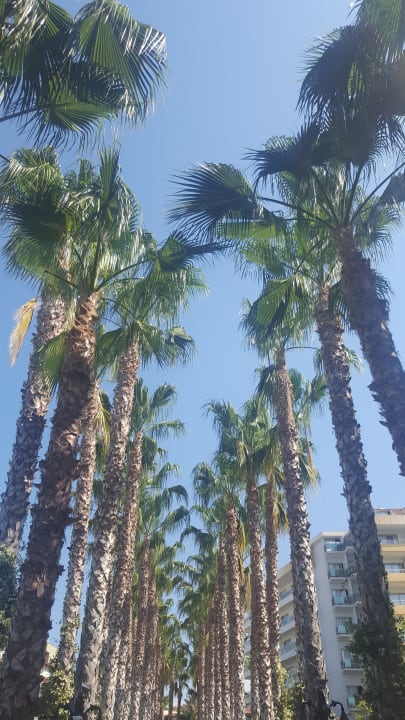 Gartenanlage Hotel Gardenia Beach