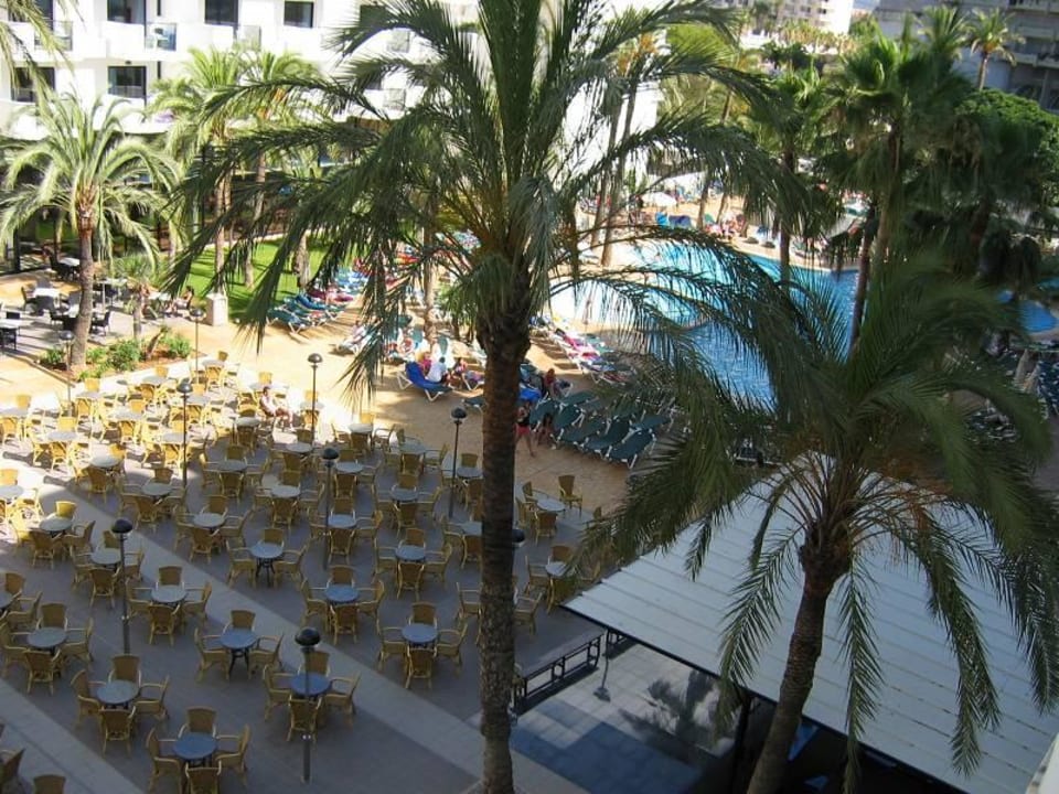 Blick vom Balkon Protur Palmeras Playa Aparthotel