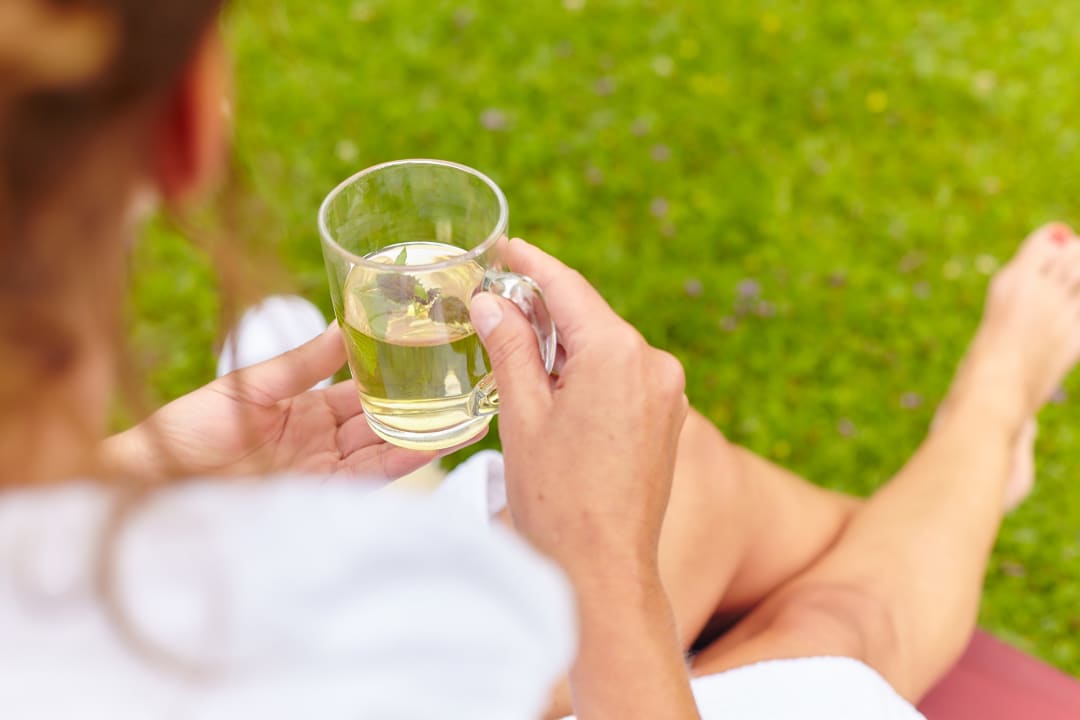 Gartenanlage Gesundheitshotel König