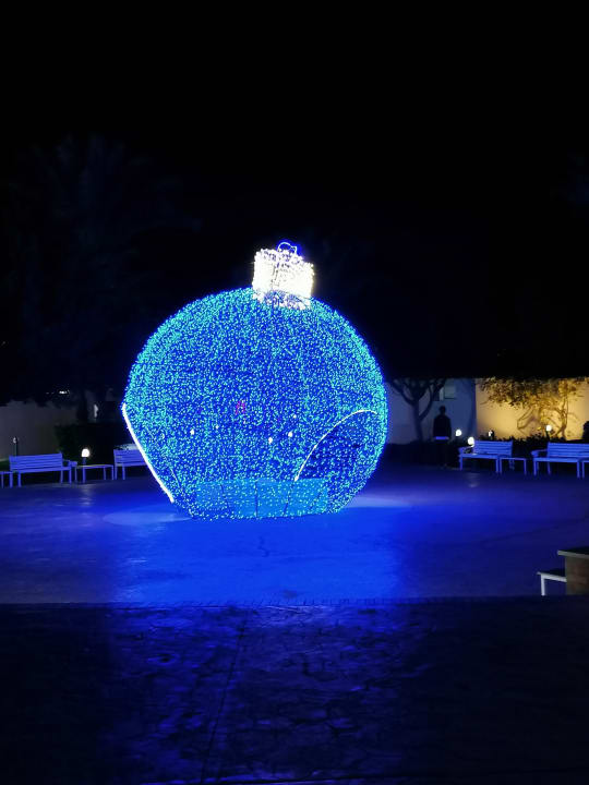 Sonstiges Desert Rose