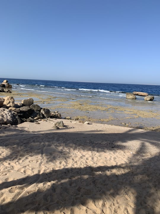 Strand Pickalbatros Citadel Resort