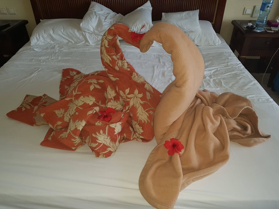 Zimmerservice Iberostar Origin Laguna Azul