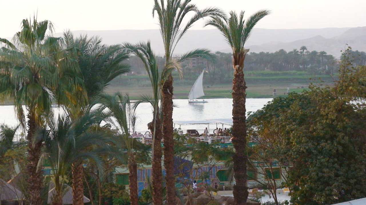 Vue du balcon Pyramisa Hotel Luxor