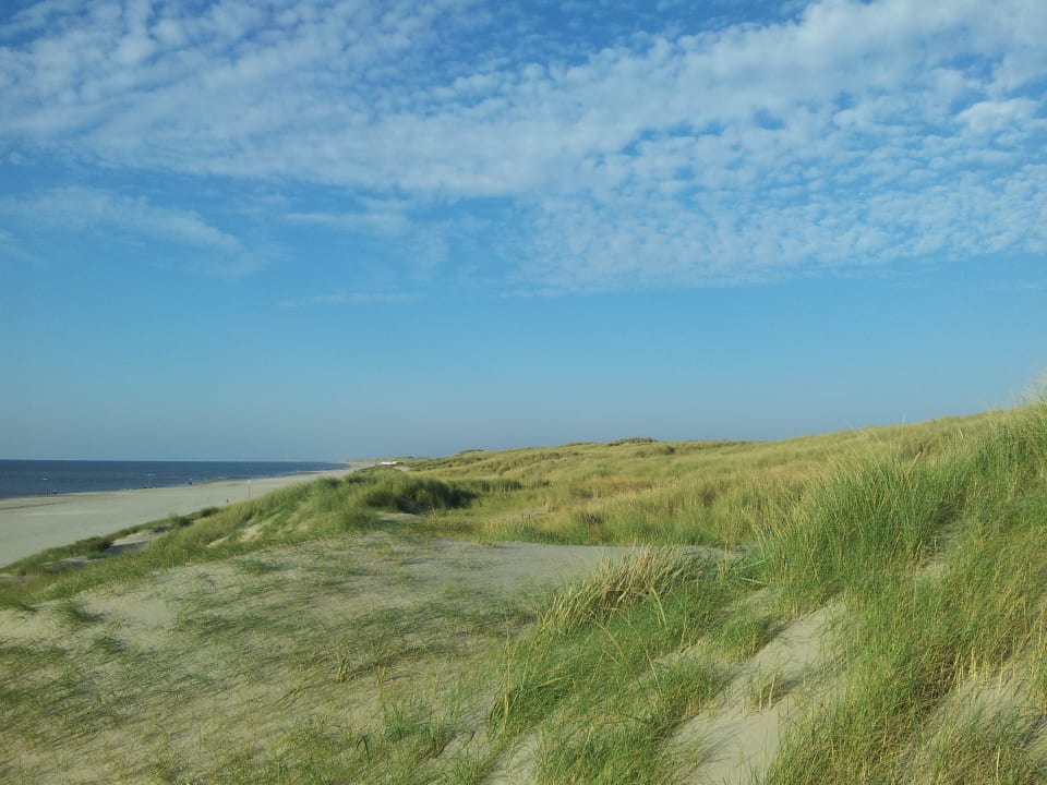 Strand und Dünen Landal Beach Resort Ooghduyne