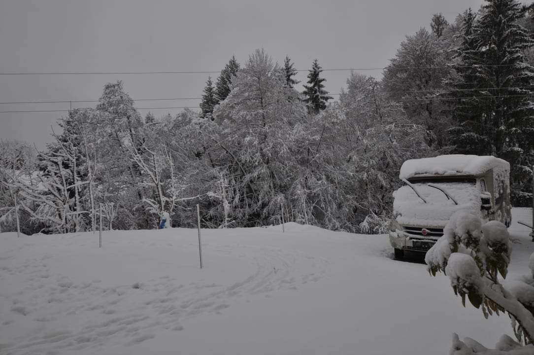 Gartenanlage Kärnten Appartements