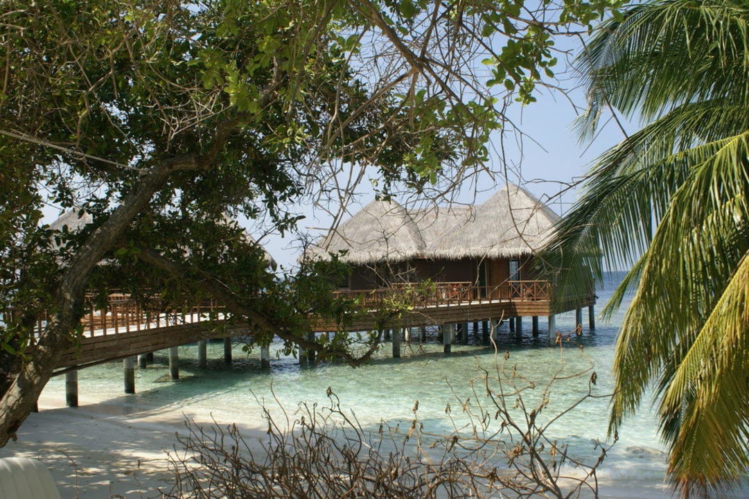 Bungalow sur pilotis Bandos Maldives