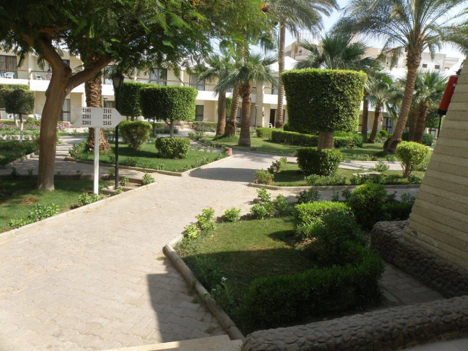 Ogród Regina Resort and Aqua Park Hurghada