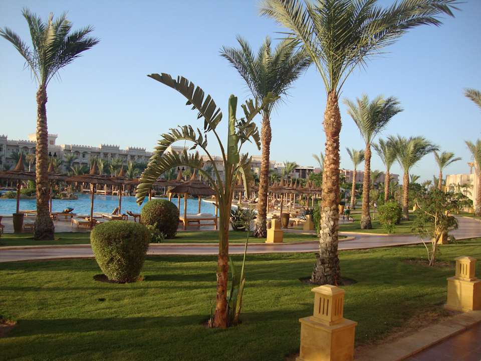 Blick vom Zimmer Pickalbatros Palace Resort