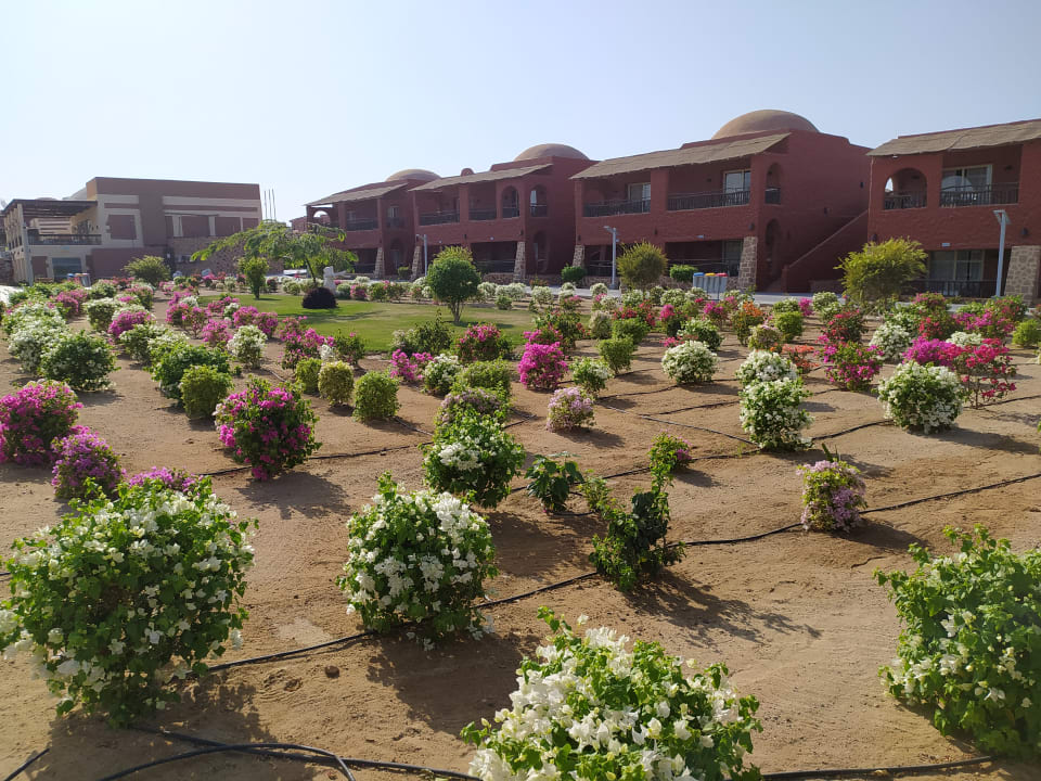 Außenansicht Pickalbatros Villaggio Resort - Portofino