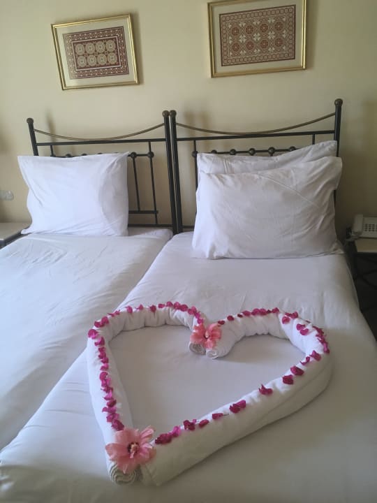 Zimmer Jaz Makadi Saraya Resort
