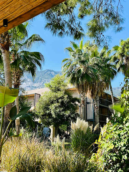 Gartenanlage Balmy Beach Resort Kemer