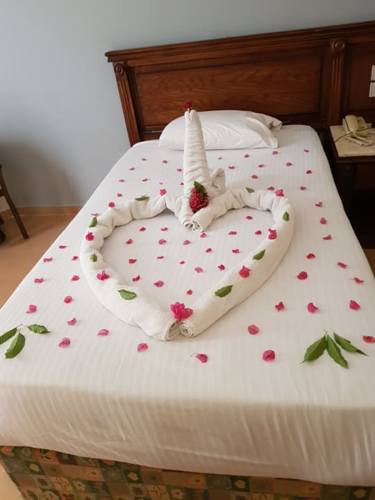 Zimmer Riviera Aqua Park Resort