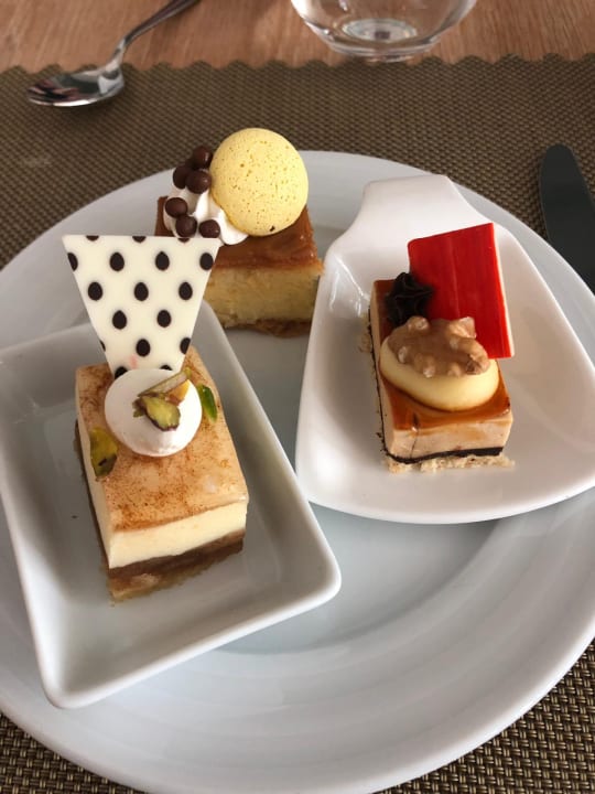 Gastro Acanthus Cennet Barut Collection