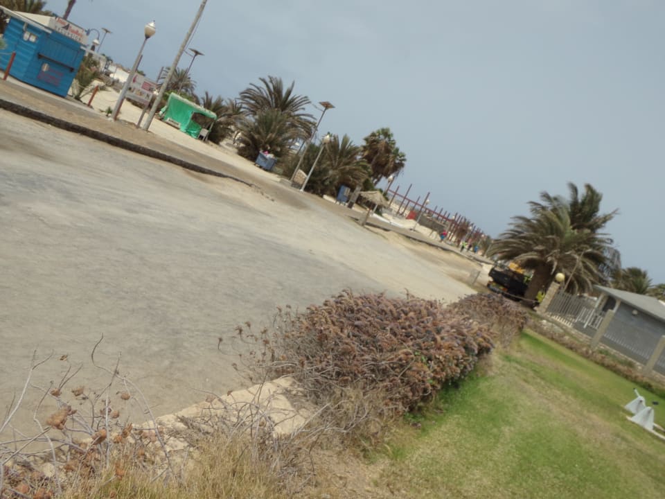 Ausblick Oasis Salinas Sea