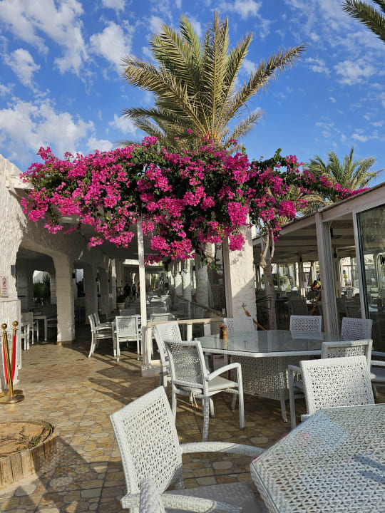 Gastro ROBINSON DJERBA BAHIYA