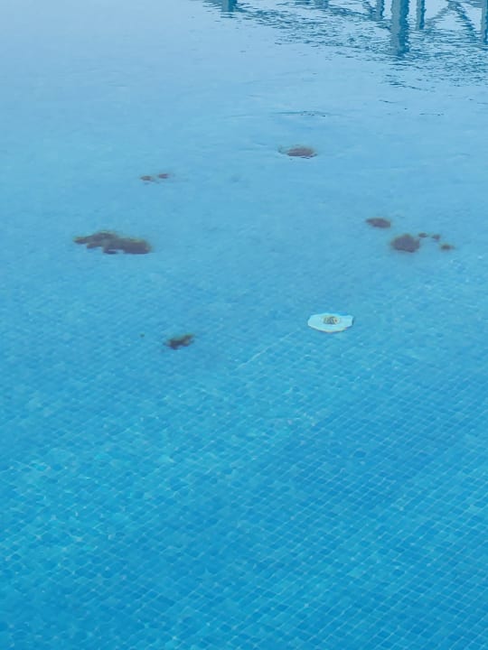 Pool SBH Costa Calma Beach Resort