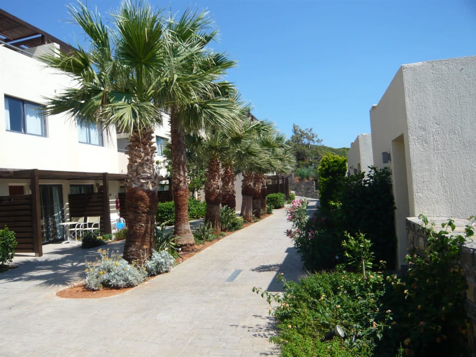 Weg zu den Zimmern Atlantica Mikri Poli Crete