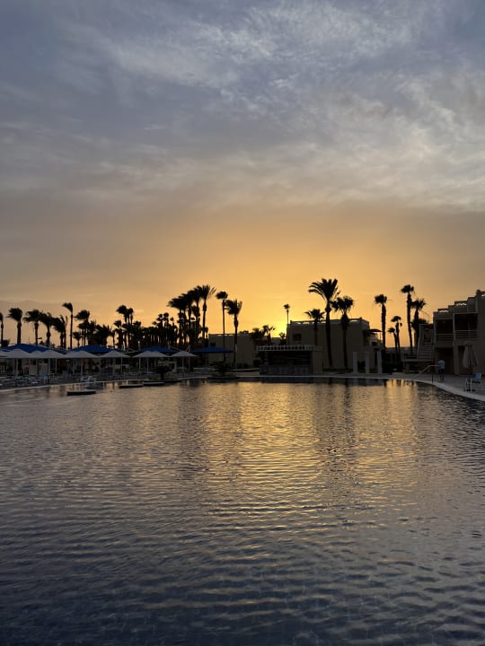 Ausblick Beach Albatros Resort