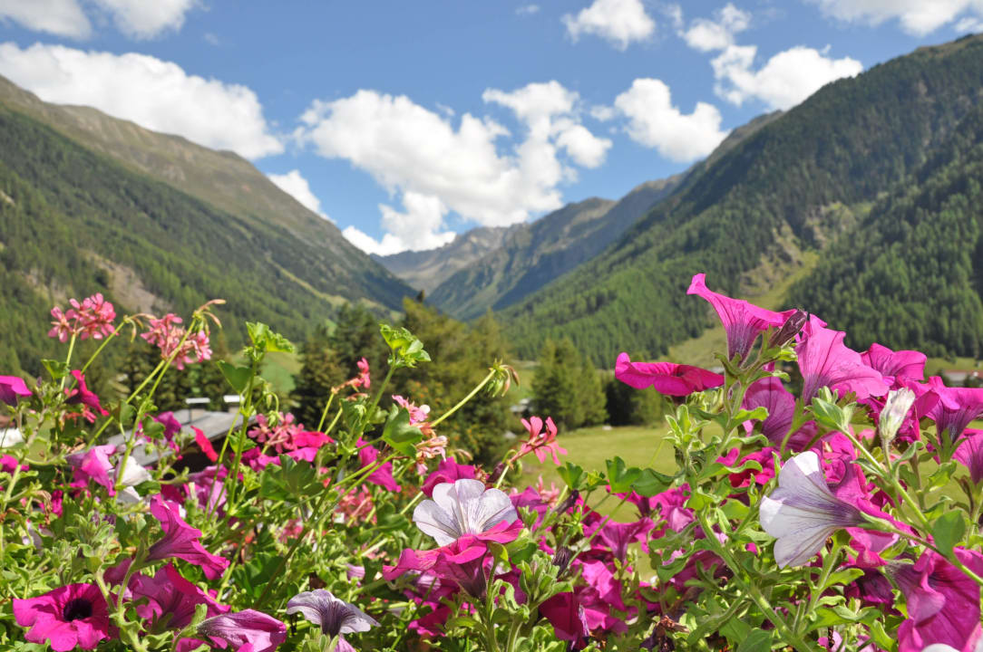Ausblick vom Balkon Hotel Tauferberg