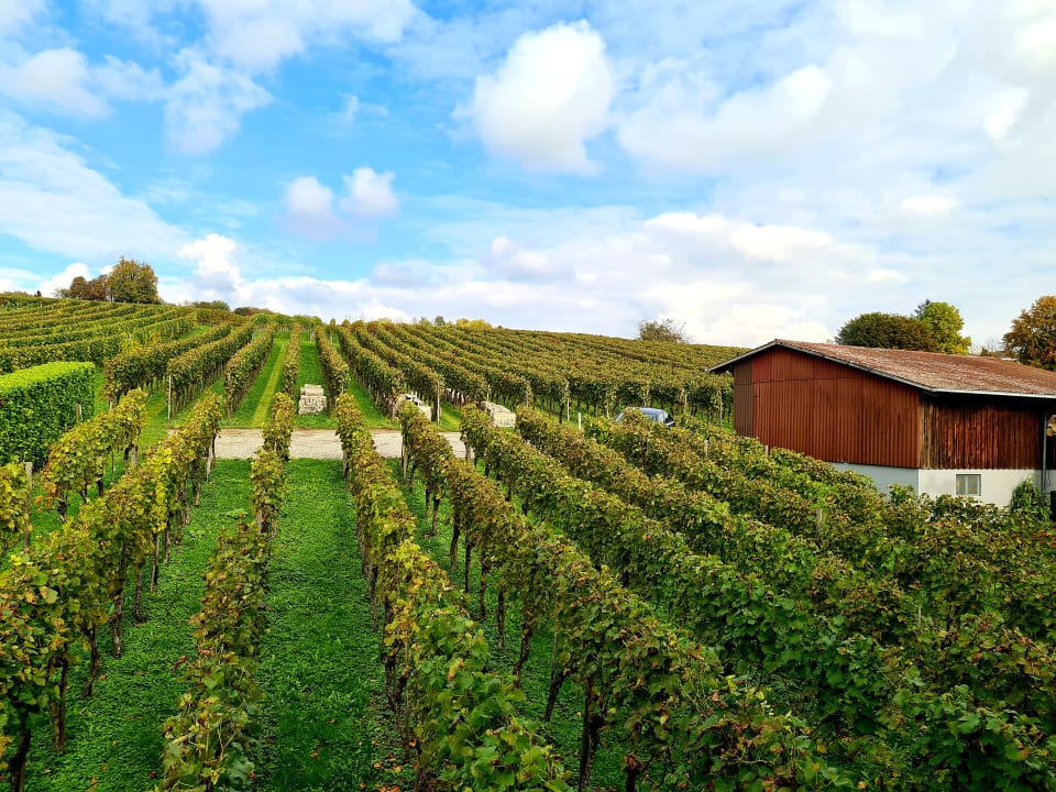 Ausblick Ferienhof Berger UG