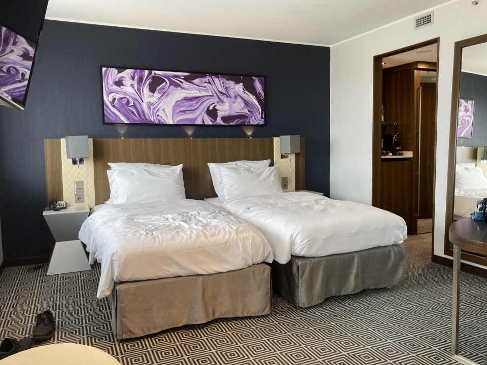 Zimmer Hotel Radisson Blu Lietuva