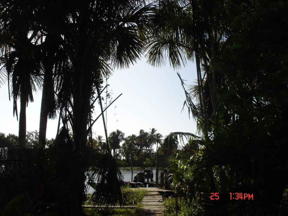 Hotel Orinoco Delta Lodge Hotel Orinoco Delta Lodge
