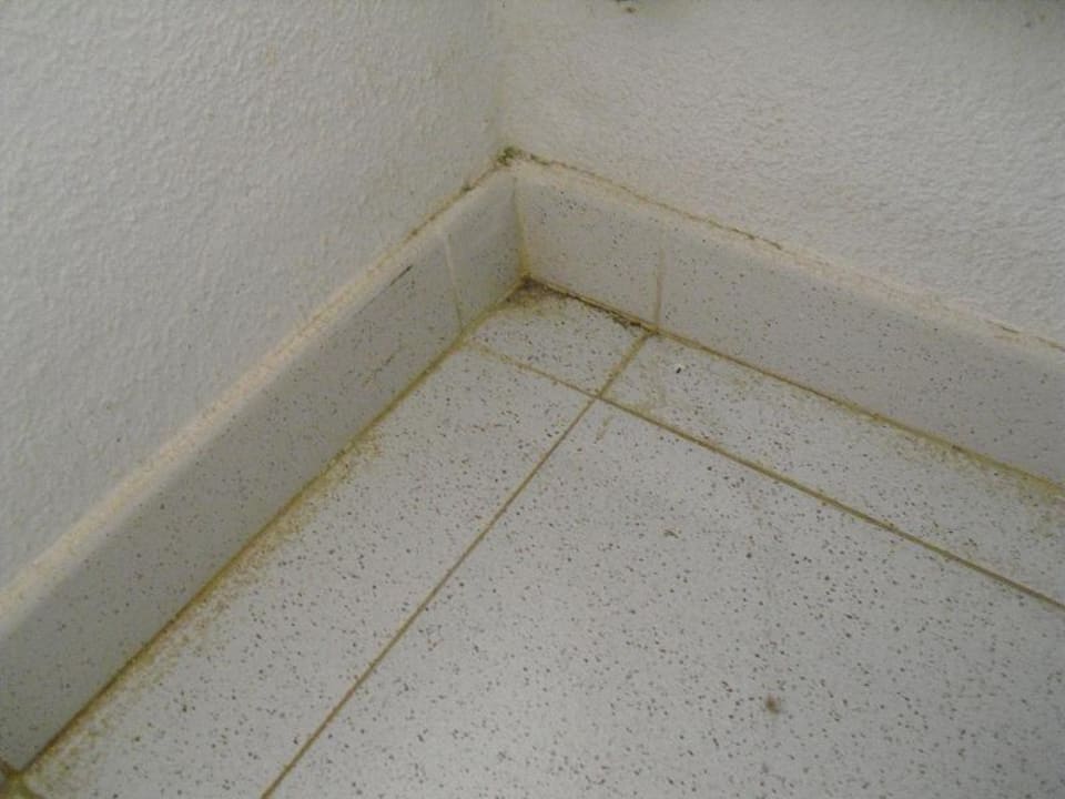 Dreck, Dreck, Dreck Hotel Tajaraste