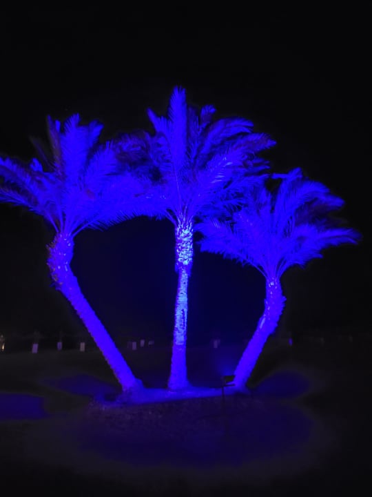 Gartenanlage Novotel Marsa Alam Beach Resort