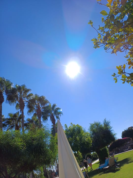 Gartenanlage Arum Barut Collection
