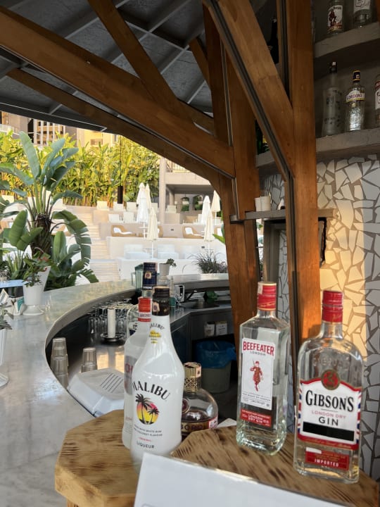 Gastro PALOMA Perissia