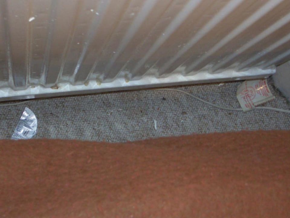 Boden Hotel Garden View