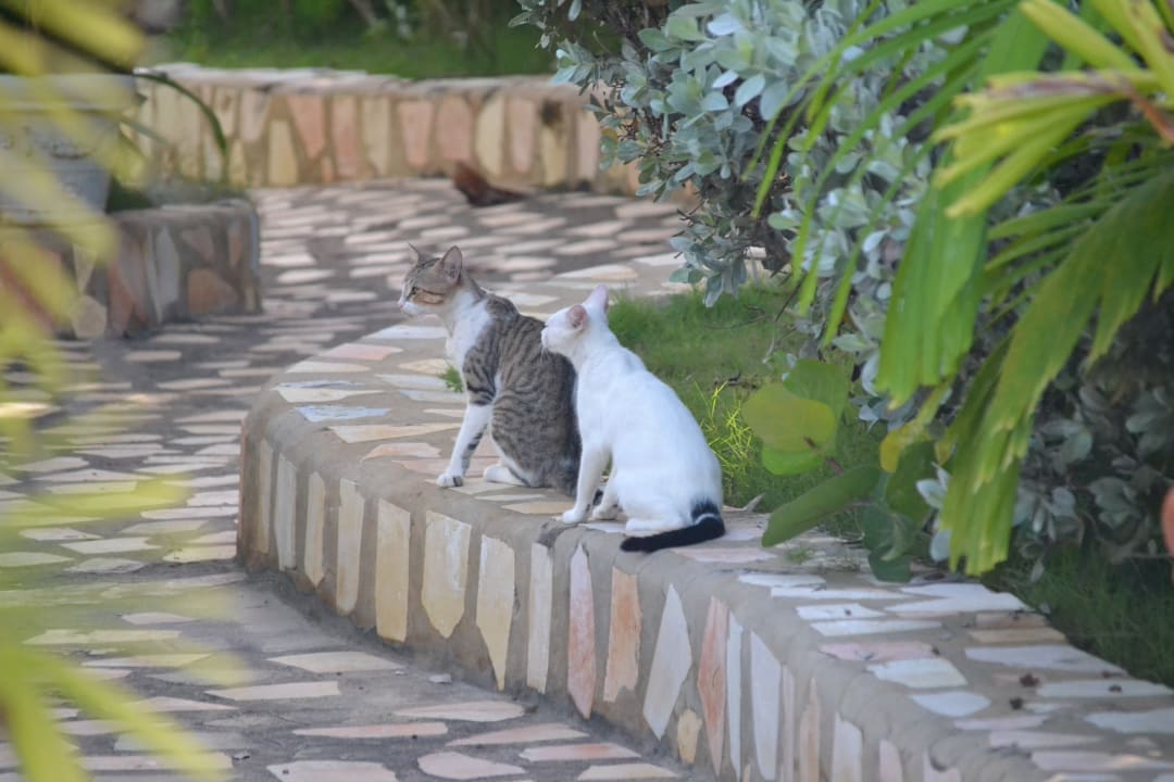 Sonstiges Samsara Cliff Resort