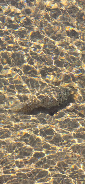 Strand Steigenberger Resort Ras Soma