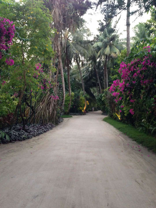 toller Garten Kuramathi Maldives