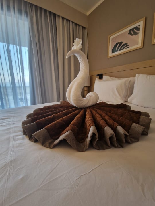 Zimmer JAZ Elite Amara