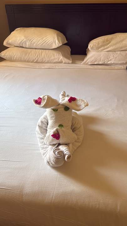 Zimmer Steigenberger Coraya Beach - Adults only