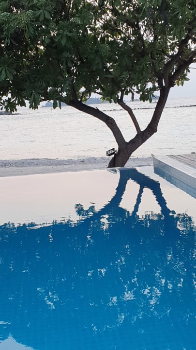 Pool Cinnamon Dhonveli Maldives
