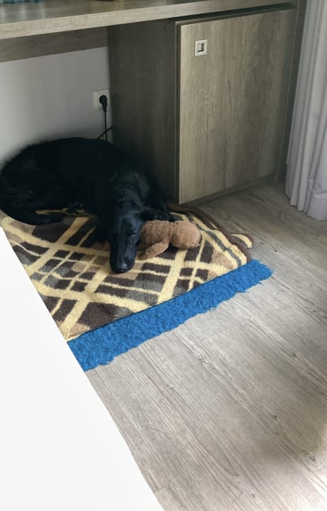 Zimmer Aldiana Club Ampflwang