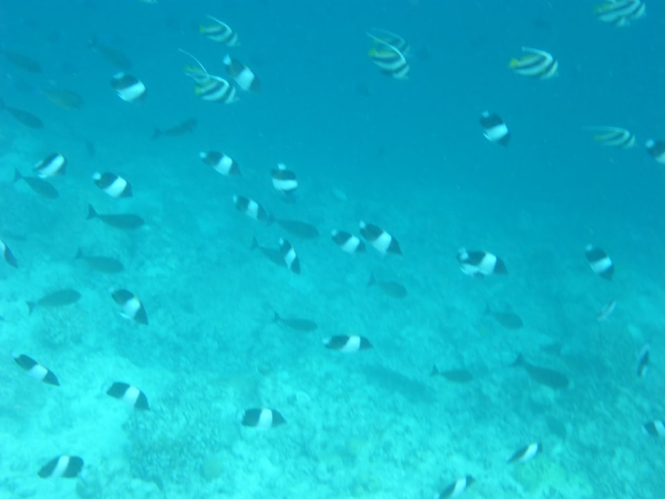 Sport & Freizeit NH Collection Maldives Reethi Resort