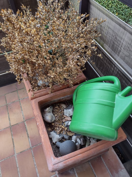 Sonstiges ostsee-appartements - Feriendomizil Birkenallee Appartement 05