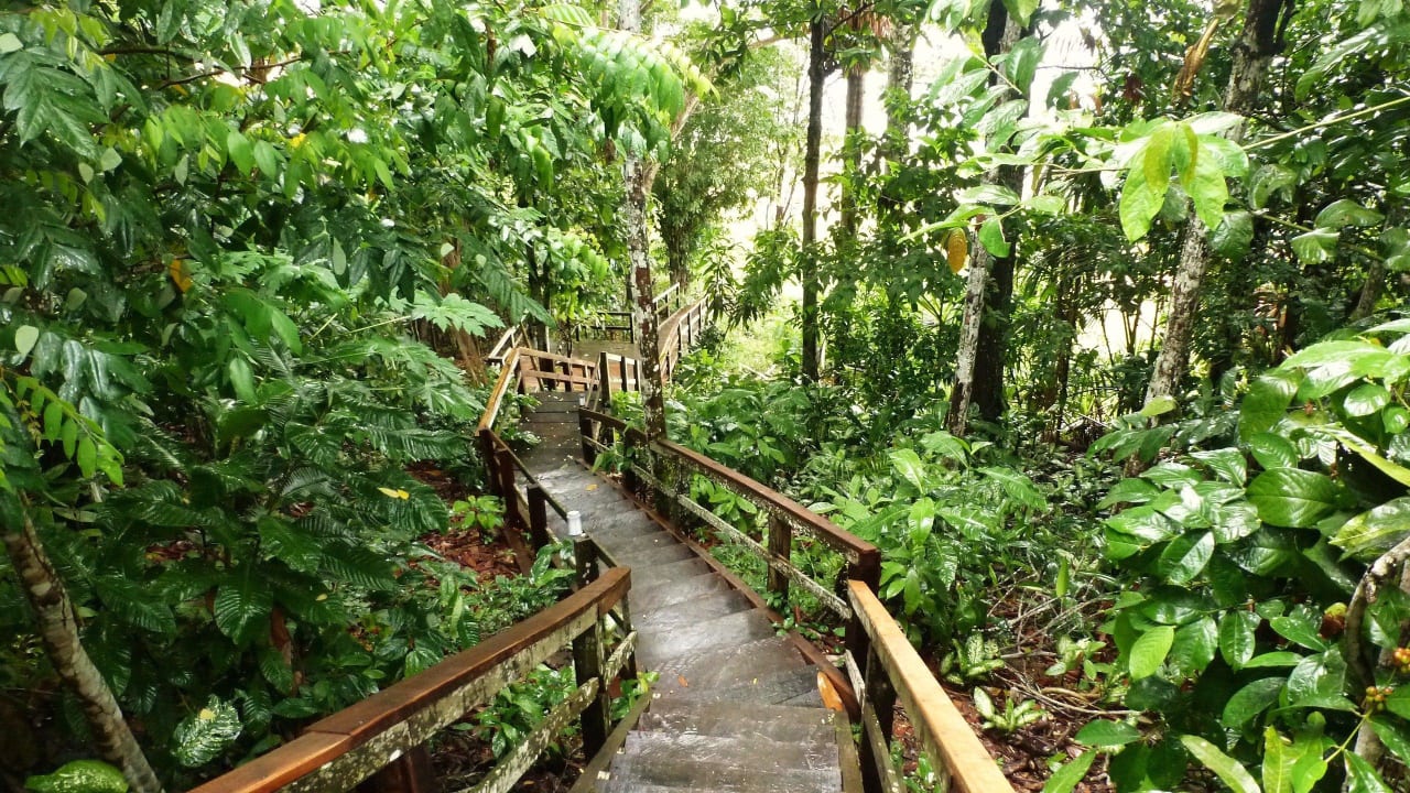 Treppe zum Flussufer Pousada Bela Vista