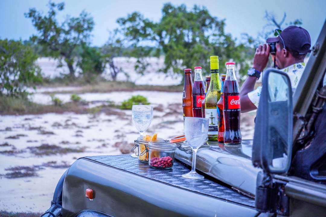 Gastro Saadani Safari Lodge