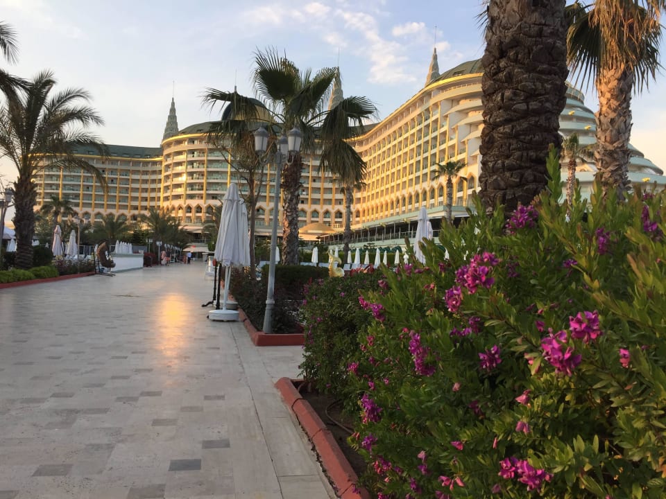 Blick in den Abendstunden vom Strand zum Hotel Hotel Delphin Imperial