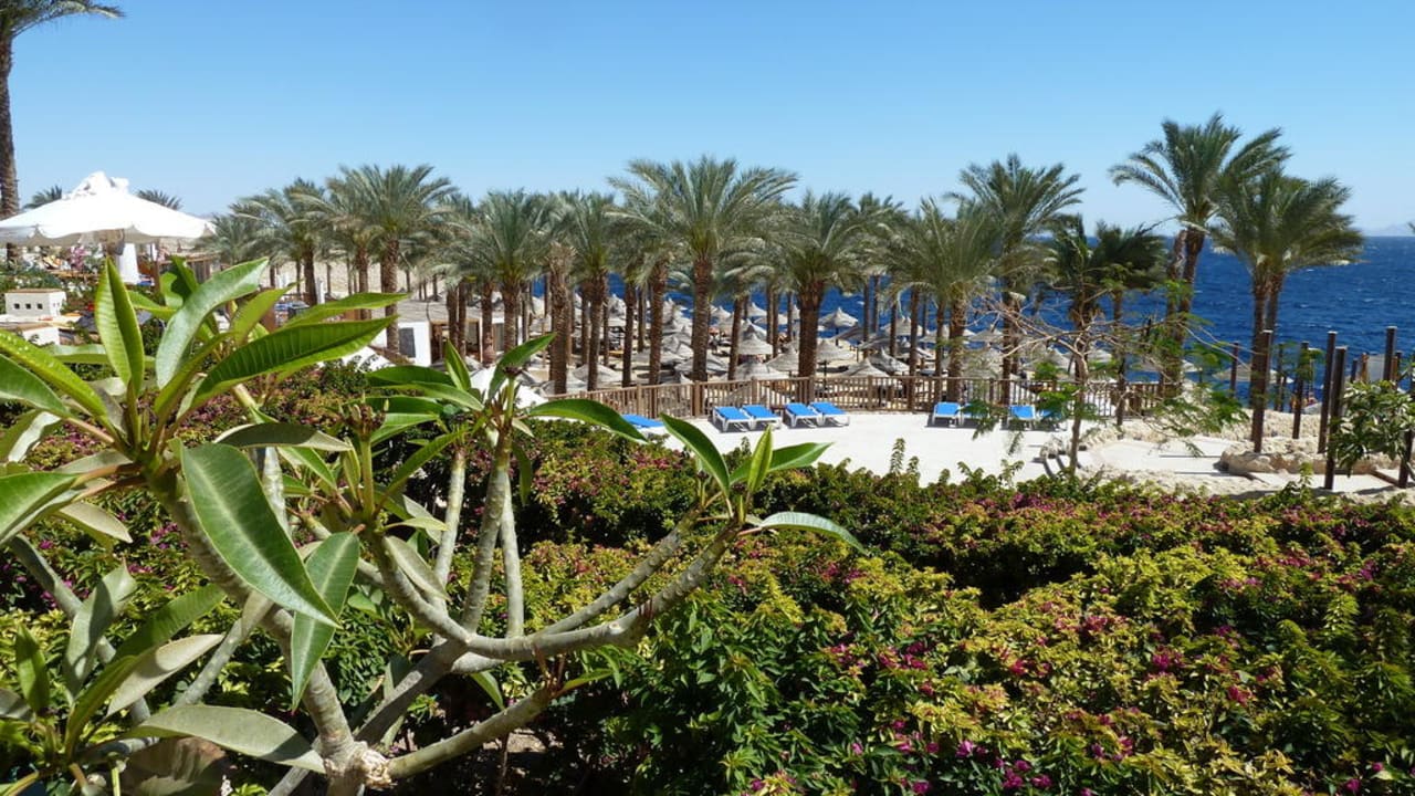 Das Weite liegt so nah. The Grand Hotel Sharm El Sheikh
