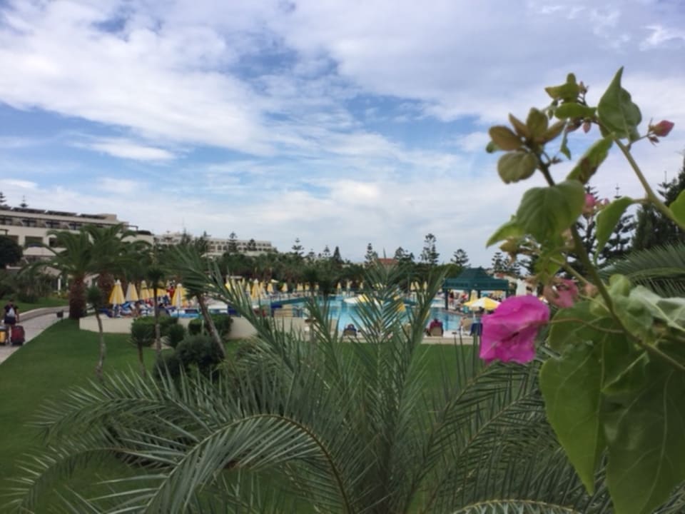 Gartenanlage Iberostar Selection Creta Marine