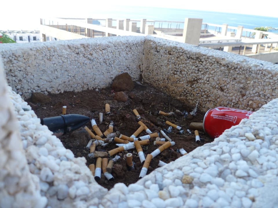 Pflanzkasten auf dem Balkon Landmar Playa La Arena