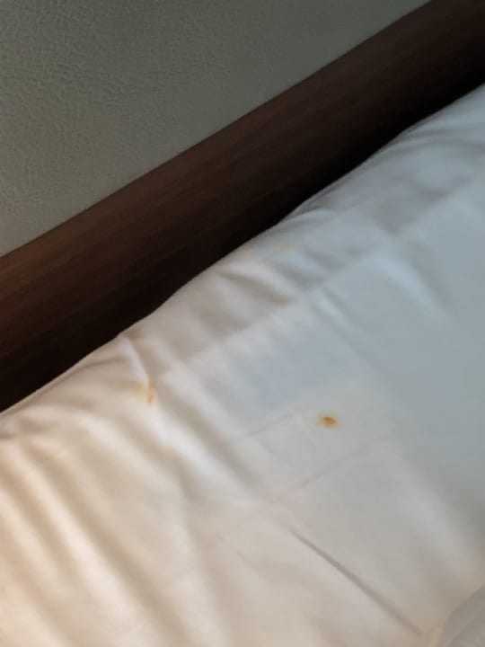 Zimmer Schlosshotel Bad Wilhelmshöhe Conference & Spa