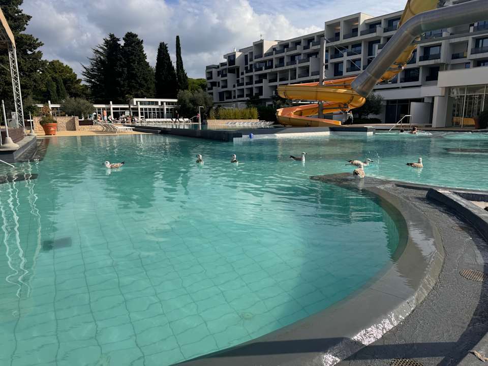 Pool Falkensteiner Club Funimation Borik