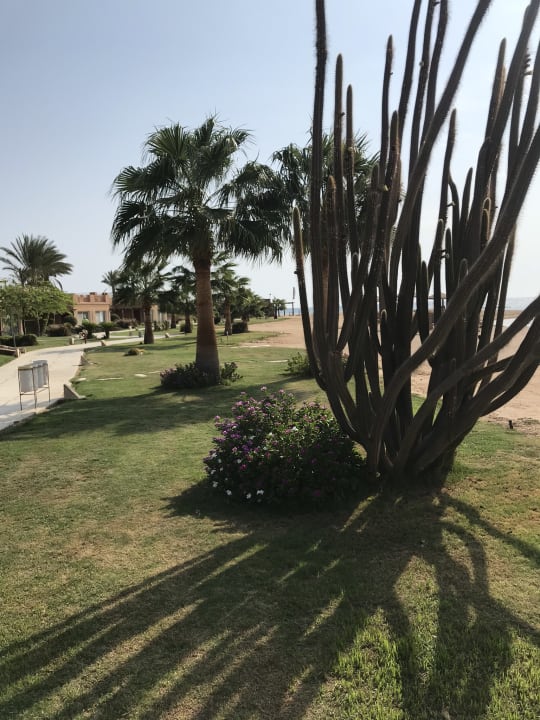 Gartenanlage Shams Prestige Abu Soma-Adults Only